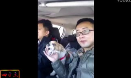 恶心视频,一场视觉与心理的双重挑战